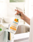 ecomax Disinfecting All Purpose Cleaner 800mL Natural Orange