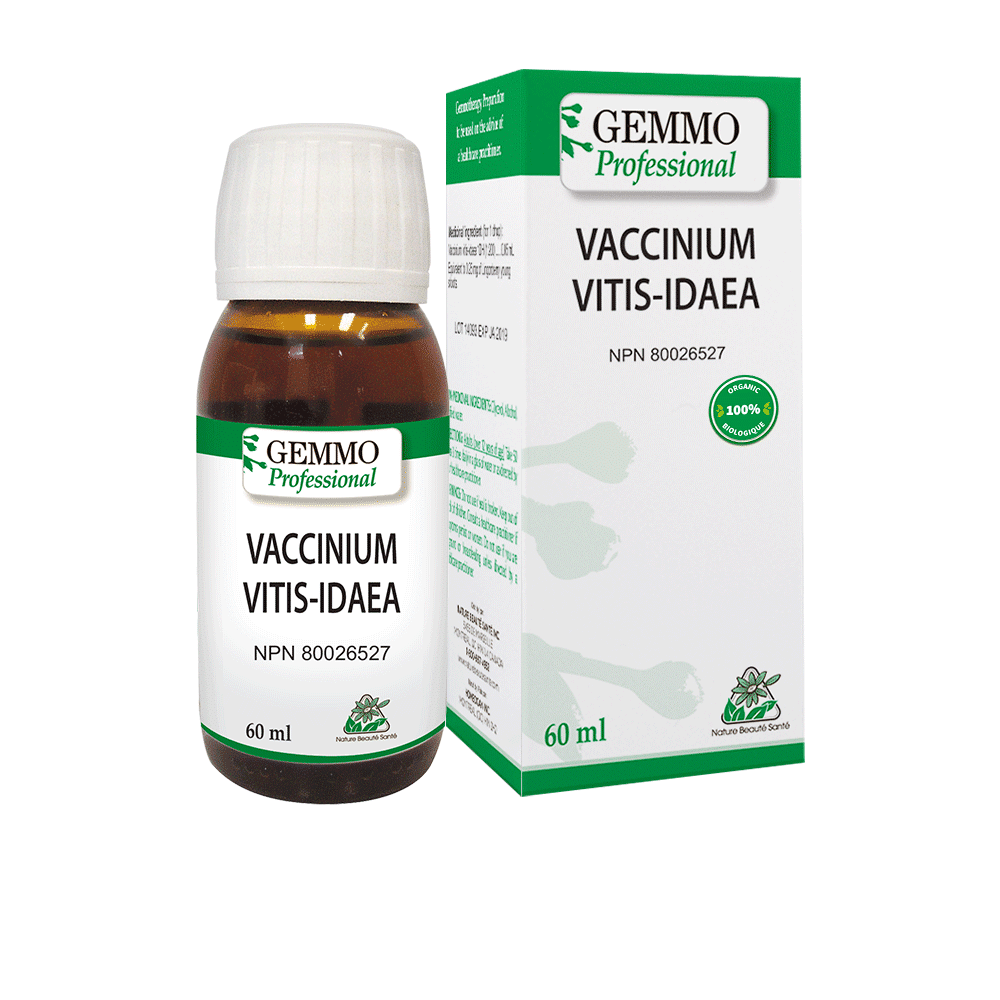 Gemmo Vaccinium