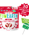 Yum Earth Organics Candy Cane Pops