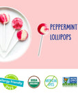 Yum Earth Organics Candy Cane Pops