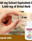 New Roots Chanca Piedra 10:1 Concentrated Extract 500mg 90 vcap