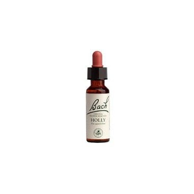 Bach Holly 20ml