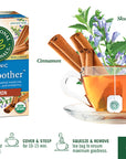 Stress Soother Cinnamon 20 Tea Bags