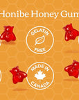 Honibe Lil Bee Multi with Immune Boost Mixed Berry 70 gummies