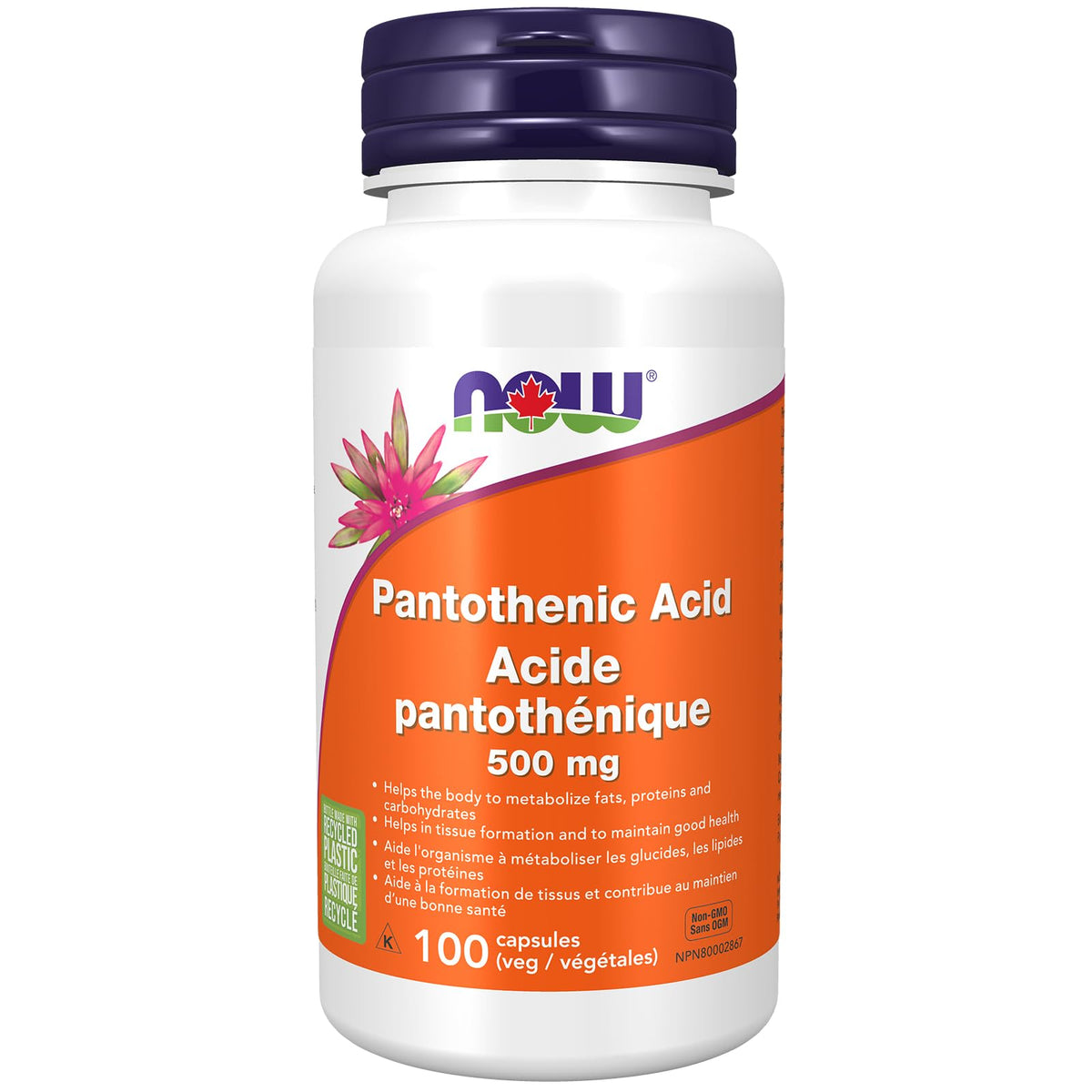 NOW Pantothenic Acid 500mg
