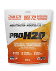 PVL Pro H2O Orange 612g