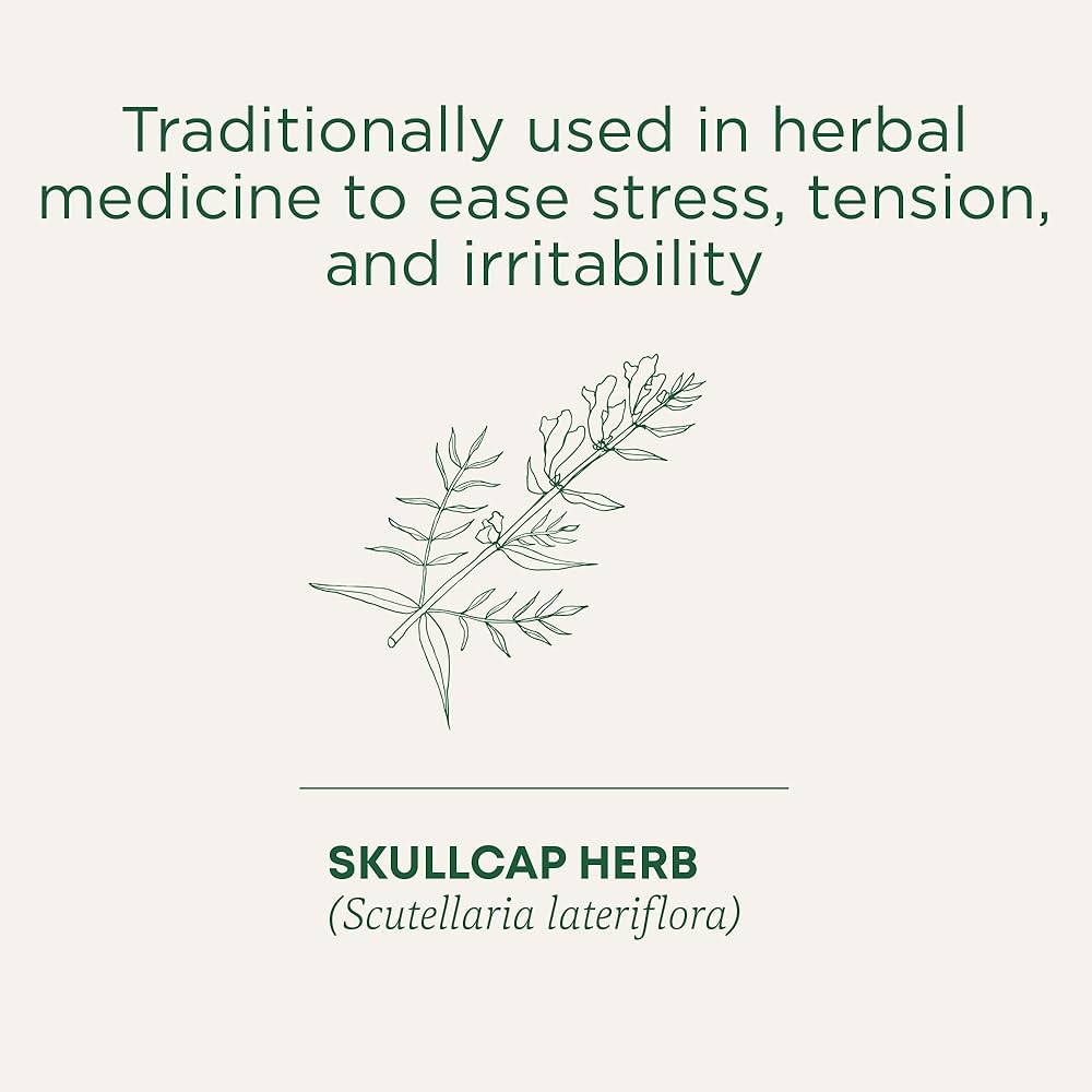 Stress Soother Cinnamon 20 Tea Bags