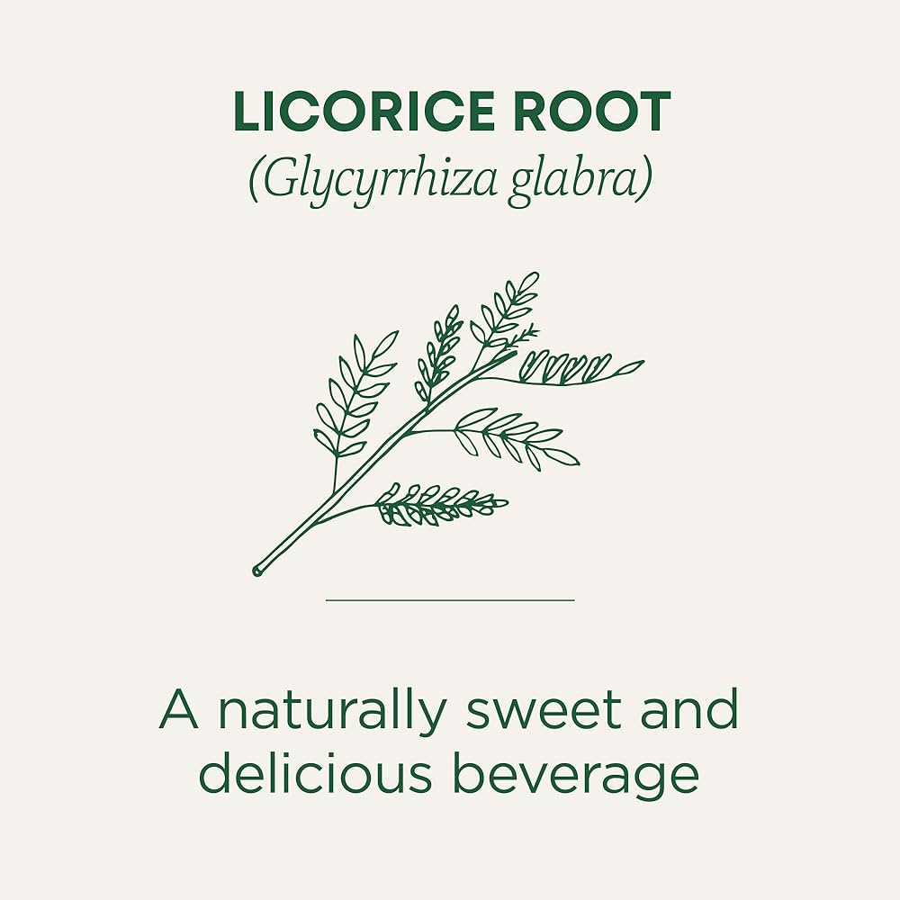 Traditional Medicinals Licorice Root 20 Tea Bags