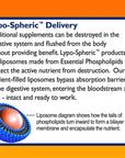 Lypo-Spheric Vitamin C - 30 Sachets
