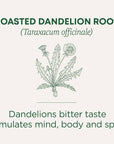 Roasted Dandelion Root 16 Tea Bags