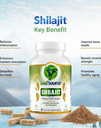 Leaf Source Shilajit Humic Fulvic Acid Complex 60 caps