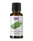 NOW Eucalyptus Radiata 30mL