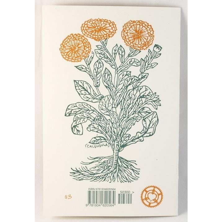 Herbal First Aid: Assembling a Natural First Aid Kit