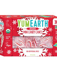 Yum Earth Organic Mini Candy Canes- 179.7g