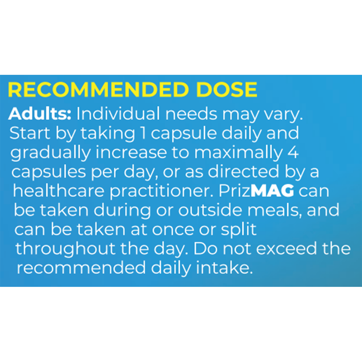 PrizMag Magnesium Bisglycinate 120 Caps Wellness Market