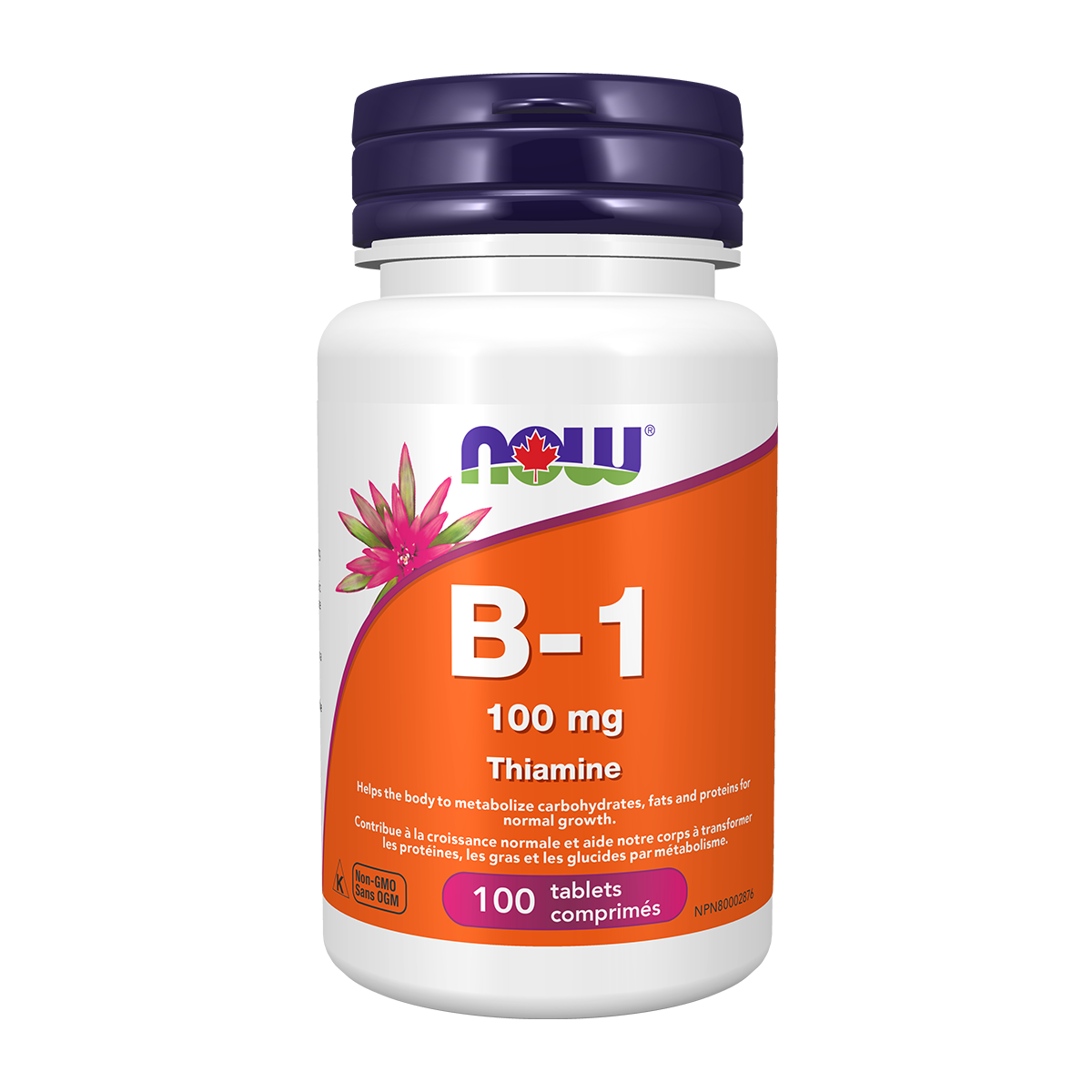 B-1 100mg Thiamine 100tabs