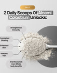 Alcami Colostrum 120g