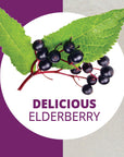 Sambucus Cold and Flu Elderberry Syrup 120 mL