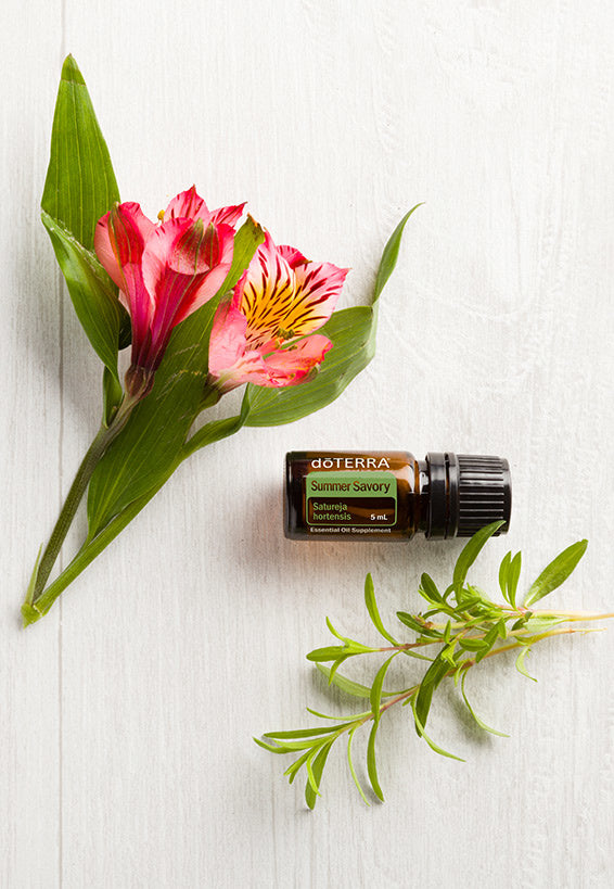 Doterra Summer Savory 5ml