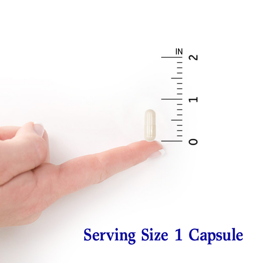 Garden of Life - Dr. Formulated Once Daily Men's Probiotics - 30vcaps