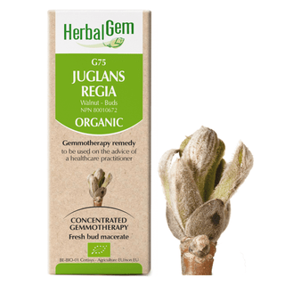 Herbal Gem G75 Juglans Regia 15 mL