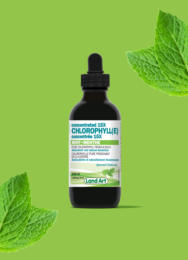 Liquid Chlorophyll - Mint 100ml