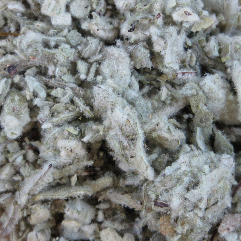 Harmonic Arts Organic Mullein Leaf 1lb