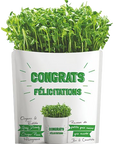 Microgreen Greeting Card Congrats- Grey Dwarf Sugar Peas