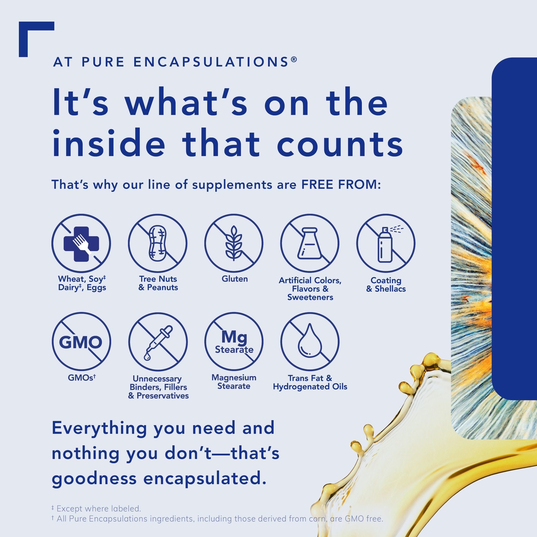Pure Encapsulations Polyphenol Nutrients 180 capsules