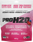 PVL Pro H2O Berry 612g