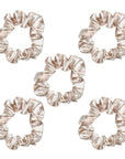 The Satin Scrunchie 5 Pack - Leopard