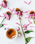 Echinacea Plus 16 Tea Bags