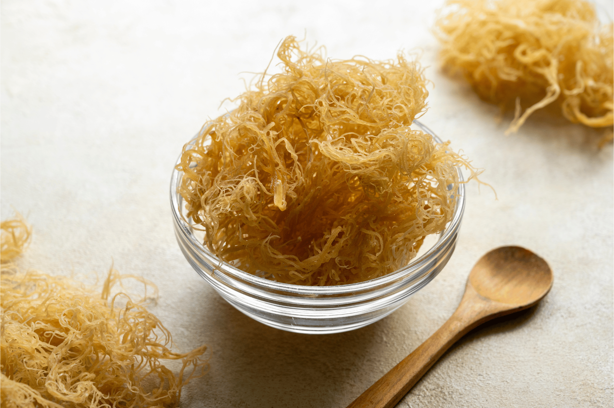 Sea Moss DIY: A Step-By-Step Guide On How To Make Sea Moss Gel At Home!