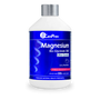 Canprev Magnesium Bisglycinate 300 Ultra Gentle 500ml Juicy Blueberry