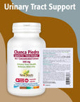 New Roots Chanca Piedra 10:1 Concentrated Extract 500mg 90 vcap