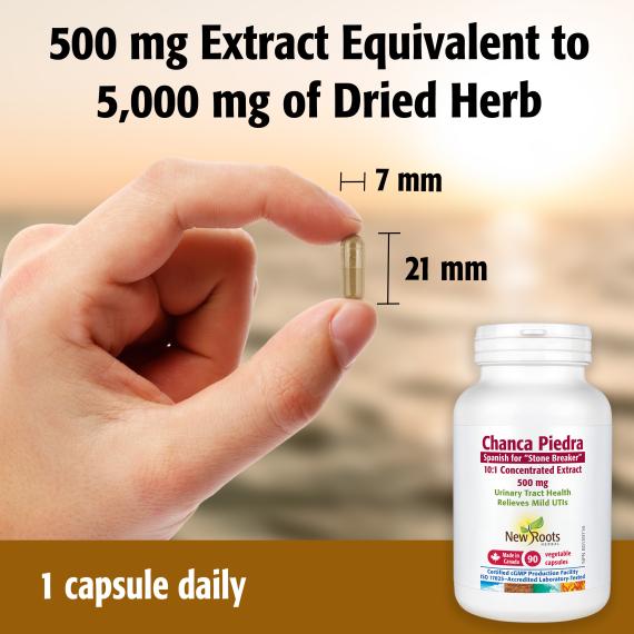 New Roots Chanca Piedra 10:1 Concentrated Extract 500mg 90 vcap
