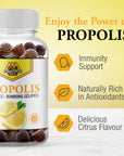 Dutchman's Gold Propolis Gummies 60 gummies