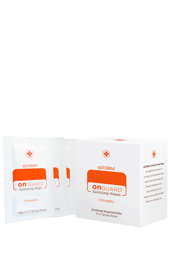 OnGuard Hand Wipes 20 ct
