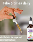 New Roots Wormwood Tincture Adults, Teens, Children 100mL
