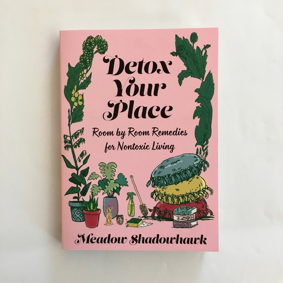 Detox Your Place : Room by Room Remedies for Nontoxic Living