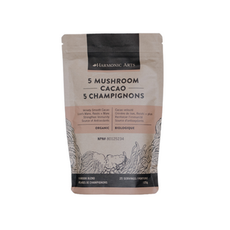 Harmonic Arts 5 Mushroom Cacao 375g