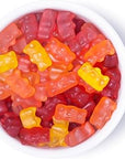 Yum Earth - 10 Snack Pack Gummy Bears - 20g per Pack