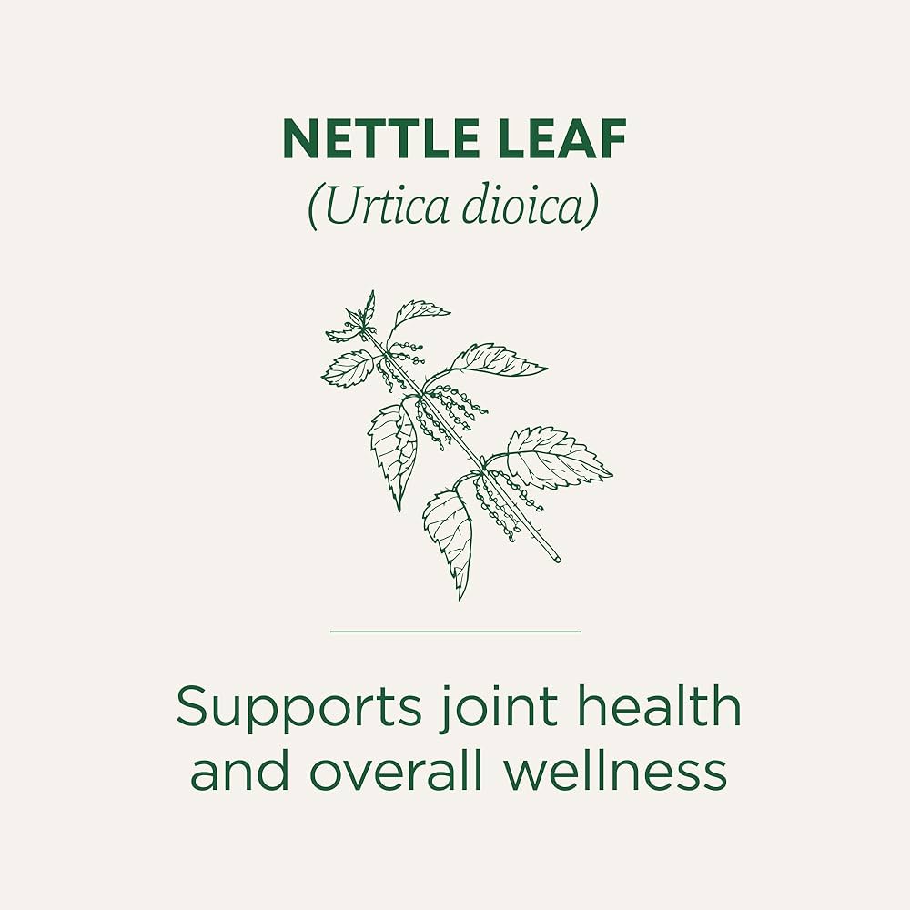 Nettle Leaf 20 Tea Bags