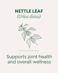 Nettle Leaf 20 Tea Bags