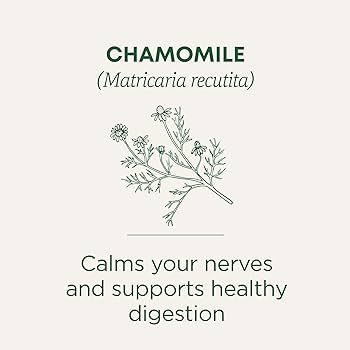 Chamomile 16 Tea Bags