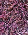 Plumpp - Irish Sea Moss Purple 40g