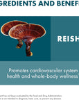 Host Defense Mushroom Mycelium Powder Reishi 100g