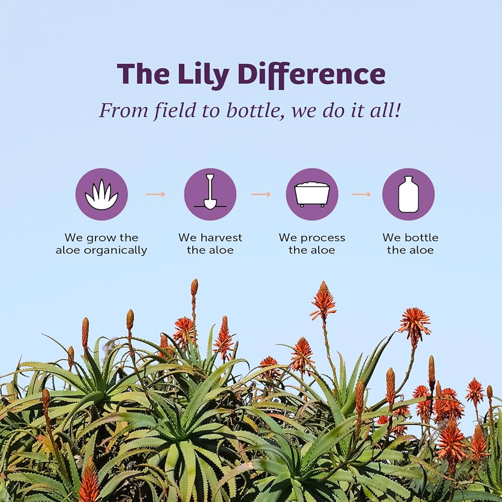 Lily of the Desert Aloe Vera Gel Inner Fillet 473 ml