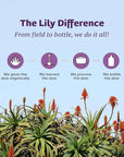 Lily of the Desert Aloe Vera Gel Inner Fillet 473 ml