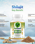 Leaf Source Shilajit Humic Fulvic Acid Complex 60 caps